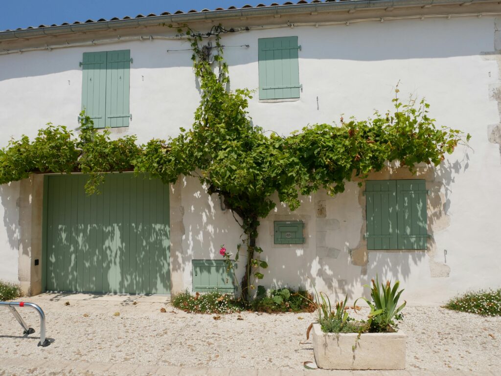 French house exterior in Nouvelle-Aquitaine with green shutters and climbing plants.